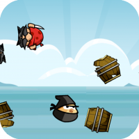 Angry Ninja