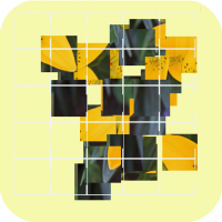 Choose Puzzle